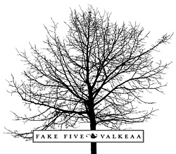 Fake Five - Valkeaa